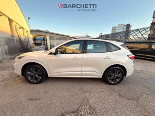 FORD Kuga 2.5 Plug In Hybrid 225 CV CVT 2WD ST-Line