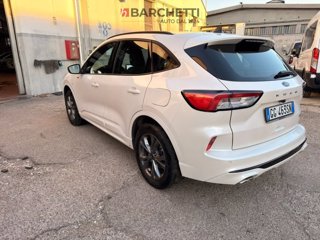 FORD Kuga 2.5 Plug In Hybrid 225 CV CVT 2WD ST-Line