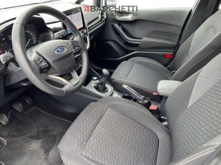 FORD Fiesta 1.1 75 CV GPL 5 porte Titanium