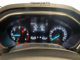 FORD Focus 1.5 EcoBlue 120 CV 5p. Active