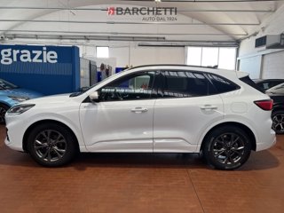 FORD Kuga 2.0 EcoBlue 120 CV aut. 2WD ST-Line