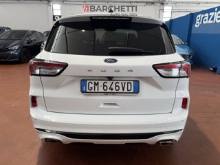 FORD Kuga 2.0 EcoBlue 120 CV aut. 2WD ST-Line