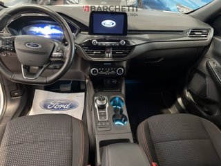 FORD Kuga 2.0 EcoBlue 120 CV aut. 2WD ST-Line