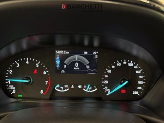 FORD Fiesta Active 1.0 Ecoboost Hybrid 125 CV 5 porte