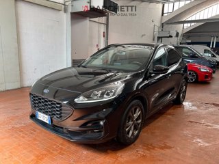 FORD Kuga 1.5 EcoBlue 120 CV aut. 2WD ST-Line