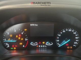 FORD Focus 1.5 EcoBlue 120 CV automatico 5p. ST-Line