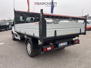 FORD Transit 350 2.0 EcoBl.MHEV130CV PM Cassonato Trend
