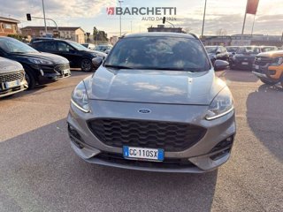 FORD Kuga 1.5 EcoBlue 120 CV aut. 2WD ST-Line